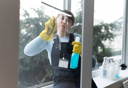 Nettoyage de vitres intérieures et extérieures à Moulin-Mage